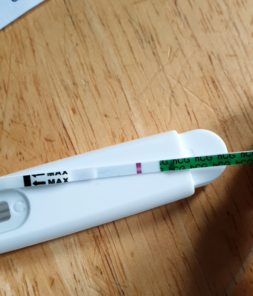 Home Pregnancy Test