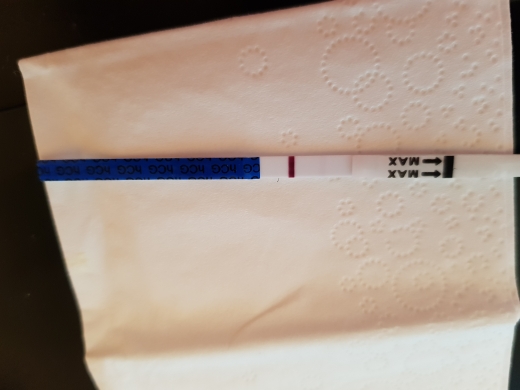 Wondfo Test Strips Pregnancy Test, 10 Days Post Ovulation, FMU, Cycle Day 24