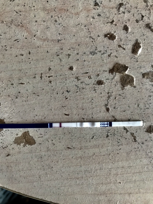 Home Pregnancy Test, 13 Days Post Ovulation, FMU