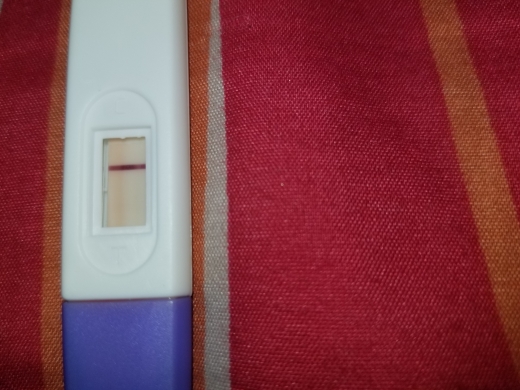 Home Pregnancy Test