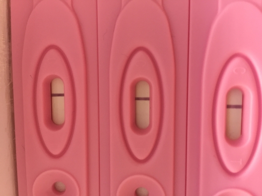 New Choice Pregnancy Test