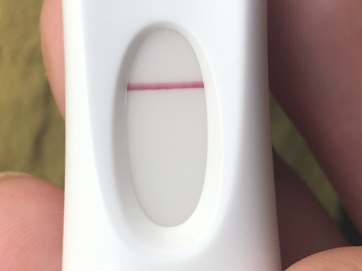 Home Pregnancy Test