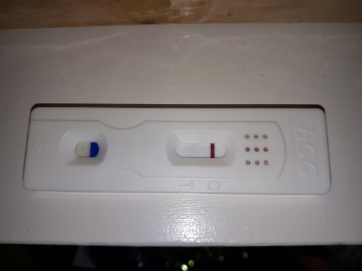 Home Pregnancy Test, FMU