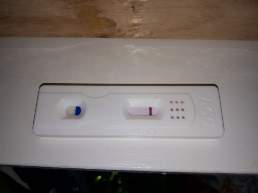 Home Pregnancy Test, FMU