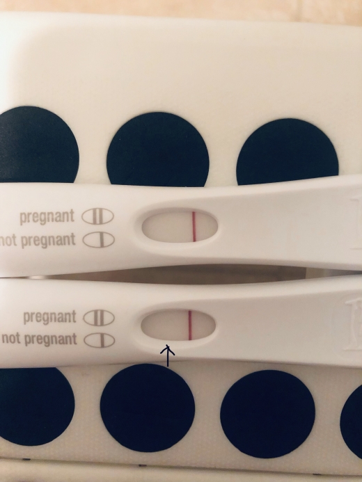 First Response Early Pregnancy Test, FMU