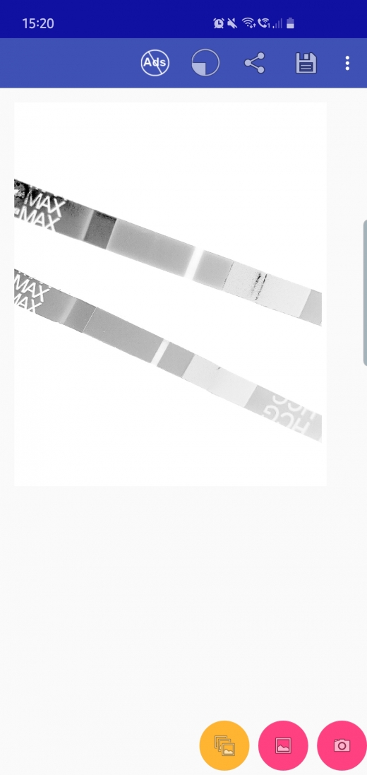 Clinical Guard Pregnancy Test, 10 Days Post Ovulation, Cycle Day 28