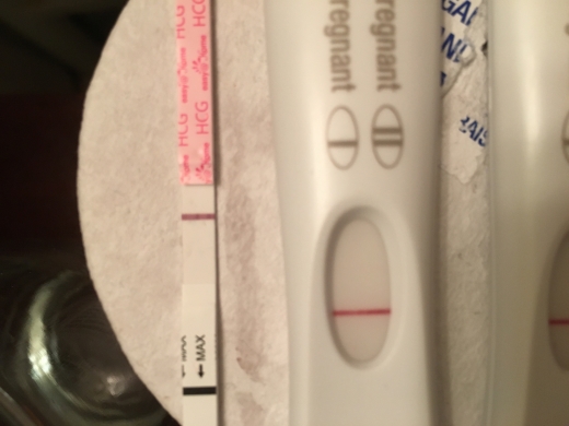 First Response Early Pregnancy Test, 9 Days Post Ovulation