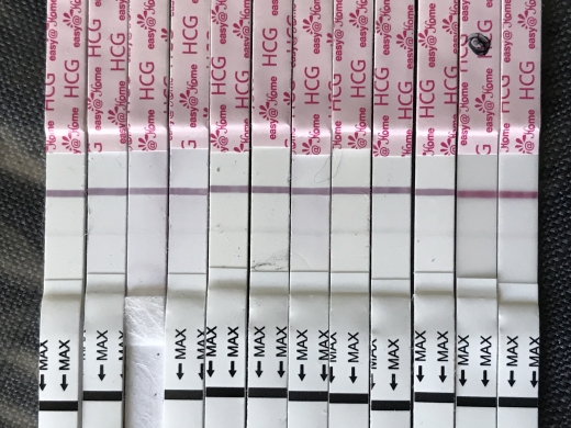 Home Pregnancy Test