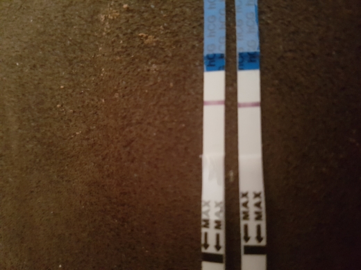 Home Pregnancy Test, 12 Days Post Ovulation, FMU