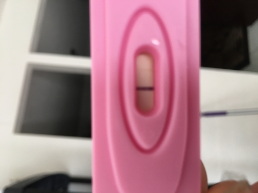 New Choice Pregnancy Test