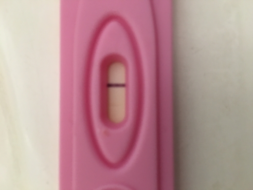 New Choice Pregnancy Test