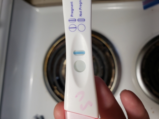 Equate One Step Pregnancy Test, 6 Days Post Ovulation, FMU, Cycle Day 20