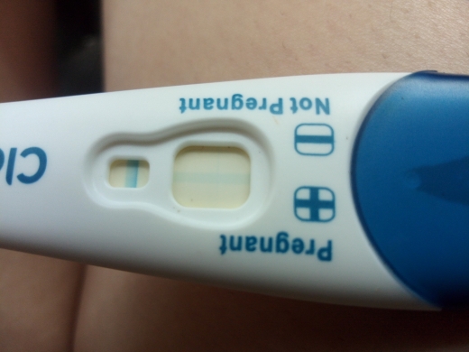 Clearblue Plus Pregnancy Test