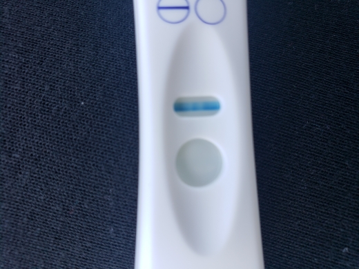 Home Pregnancy Test