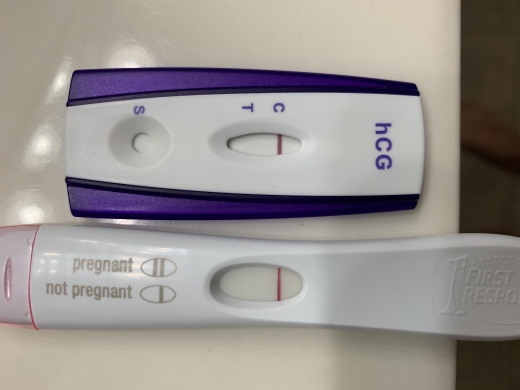 Home Pregnancy Test