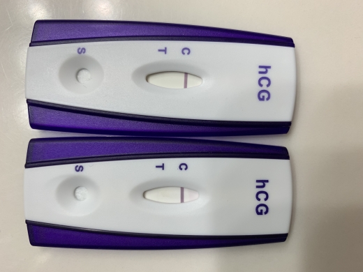 Home Pregnancy Test