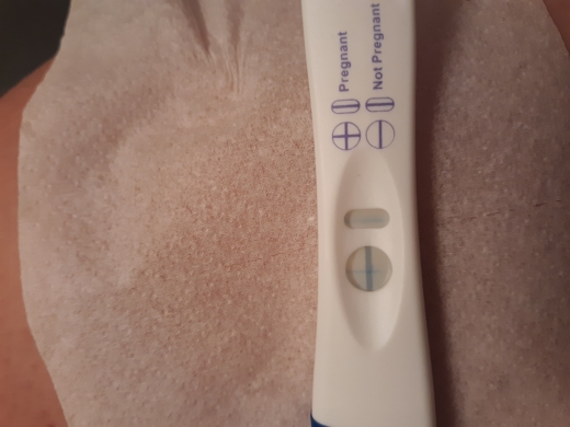 Equate One Step Pregnancy Test, 19 Days Post Ovulation, Cycle Day 35