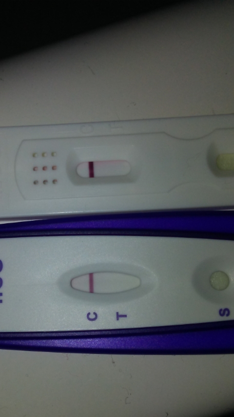 New Choice Pregnancy Test, FMU