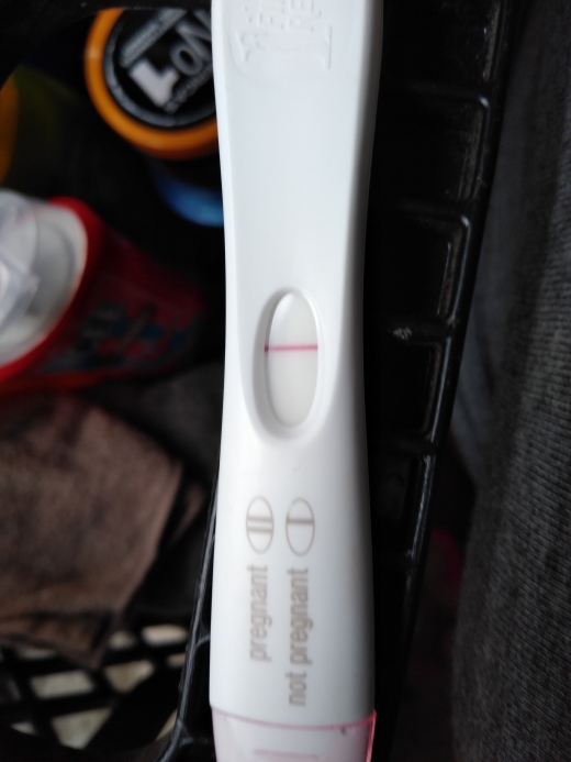First Response Early Pregnancy Test, FMU