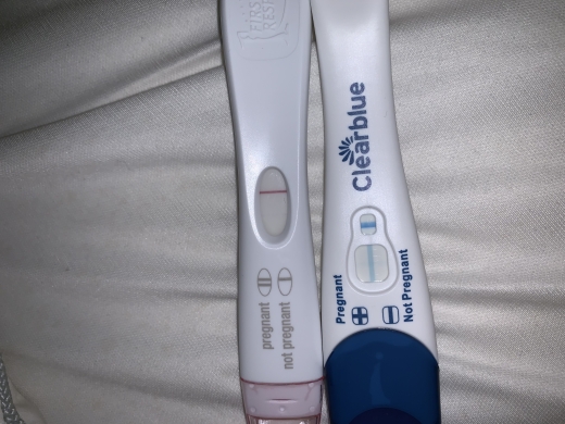 First Response Early Pregnancy Test, 11 Days Post Ovulation