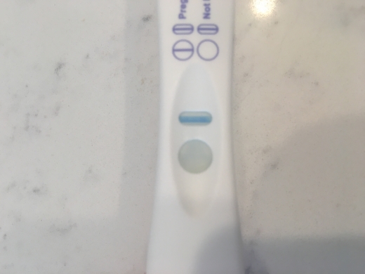Home Pregnancy Test