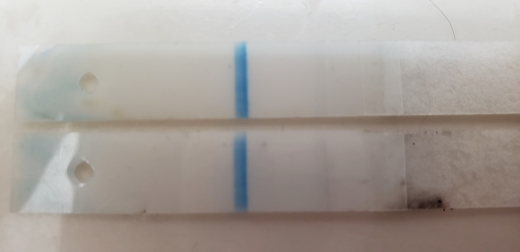 CVS Early Result Pregnancy Test, 11 Days Post Ovulation