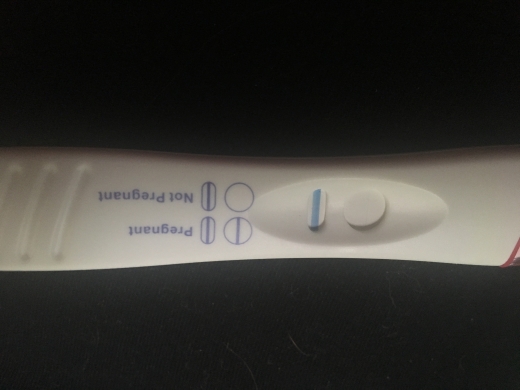 Home Pregnancy Test