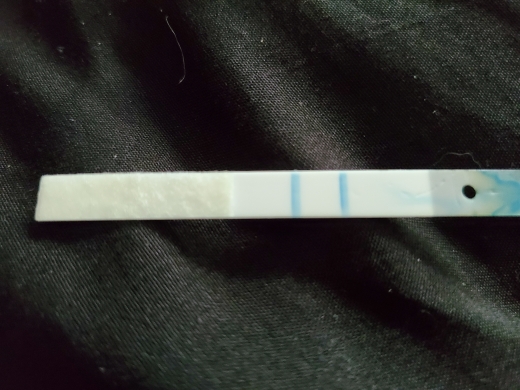 Clearblue Digital Pregnancy Test