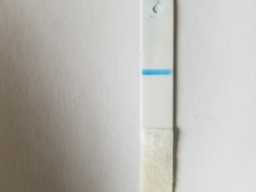 Equate One Step Pregnancy Test, 13 Days Post Ovulation, Cycle Day 29