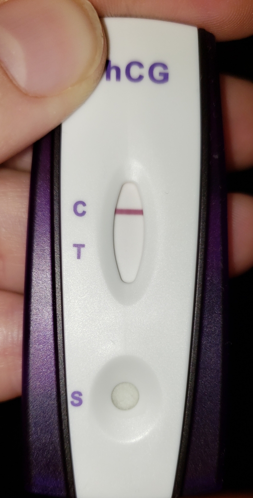 Home Pregnancy Test