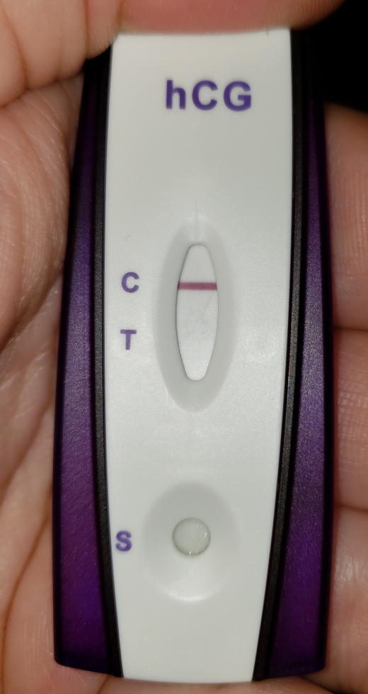 Home Pregnancy Test