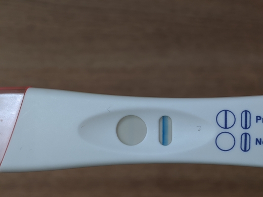 Home Pregnancy Test
