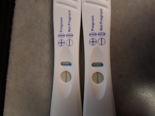 Home Pregnancy Test