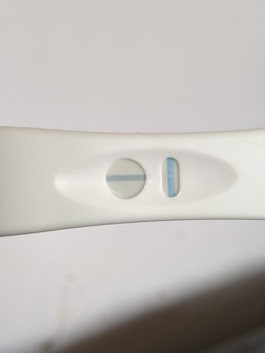 Generic Pregnancy Test, 8 Days Post Ovulation, Cycle Day 27