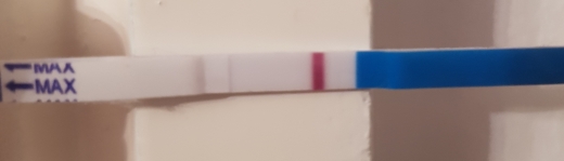 Home Pregnancy Test, 11 Days Post Ovulation