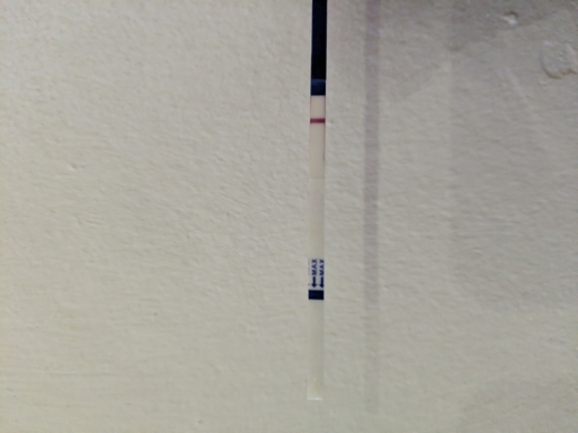 Generic Pregnancy Test, 13 Days Post Ovulation, Cycle Day 31