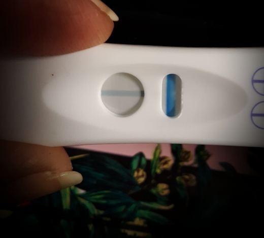Home Pregnancy Test