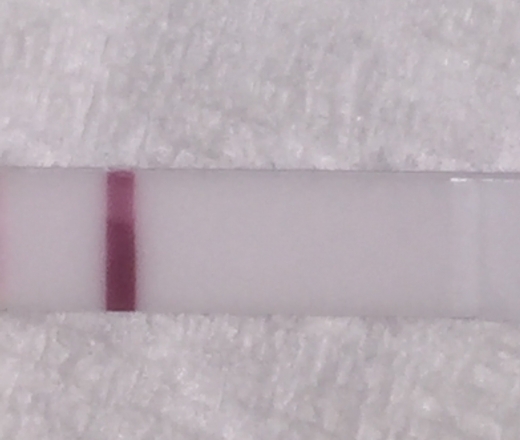 Wondfo Test Strips Pregnancy Test