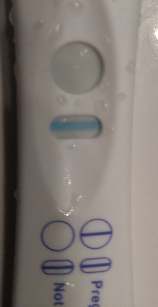First Response Early Pregnancy Test, 12 Days Post Ovulation, FMU
