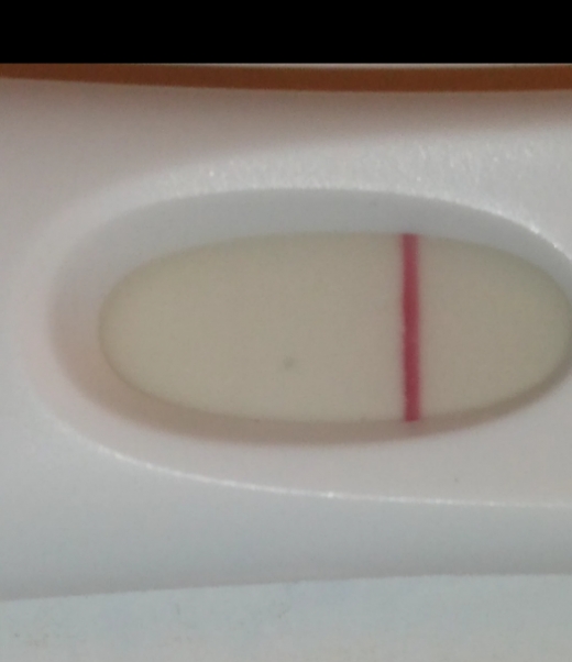 First Response Rapid Pregnancy Test