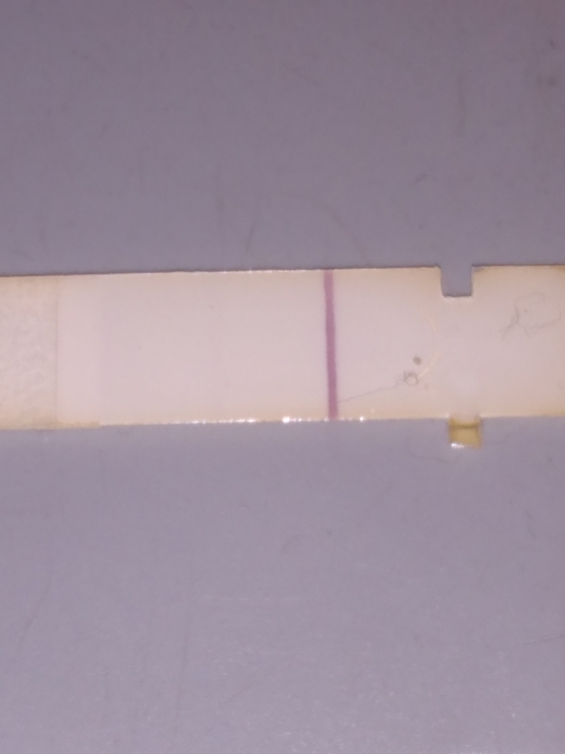 First Response Rapid Pregnancy Test