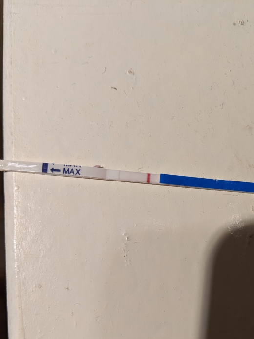 Generic Pregnancy Test, FMU