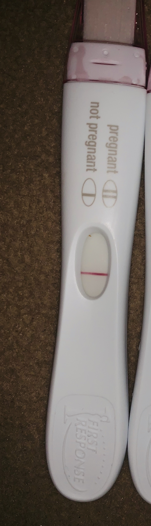 First Response Rapid Pregnancy Test, 7 Days Post Ovulation