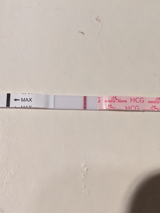 Generic Pregnancy Test, 13 Days Post Ovulation