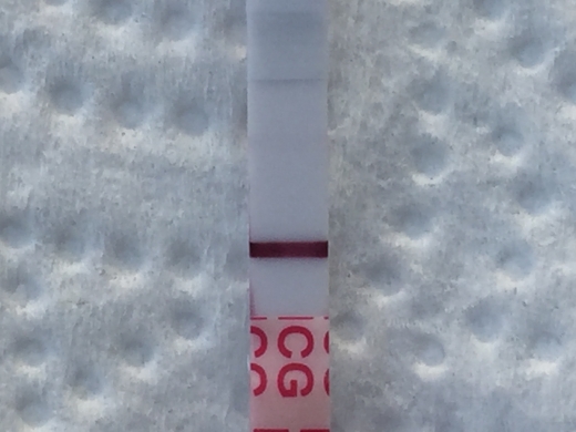 Wondfo Test Strips Pregnancy Test