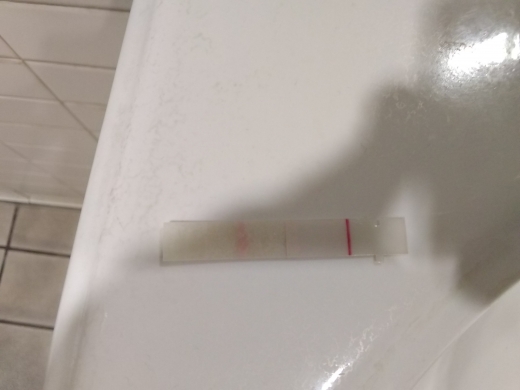 First Response Early Pregnancy Test