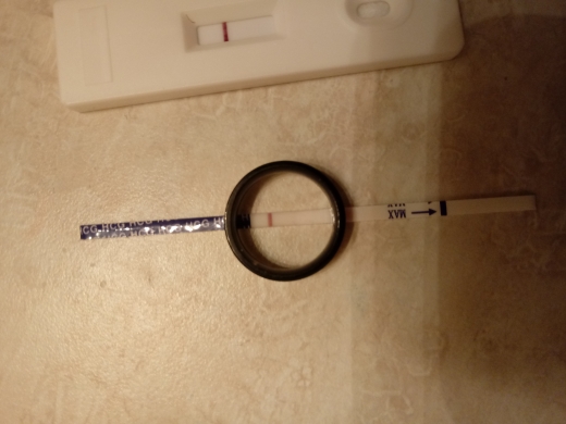 Wondfo Test Strips Pregnancy Test, 15 Days Post Ovulation, FMU, Cycle Day 29