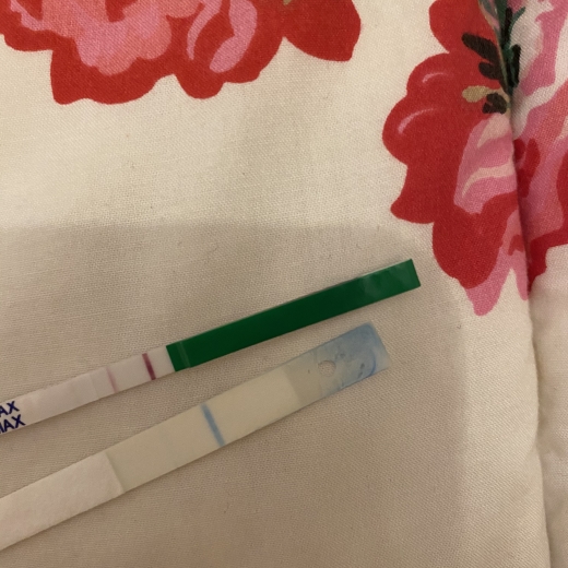 e.p.t. Pregnancy Test