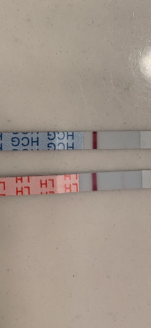 Wondfo Test Strips Pregnancy Test, 7 Days Post Ovulation, FMU, Cycle Day 22