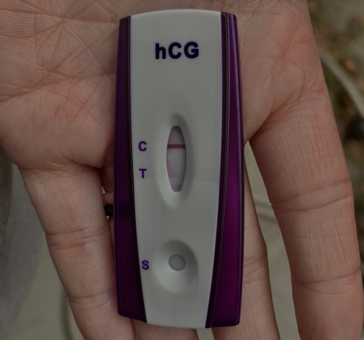 Home Pregnancy Test